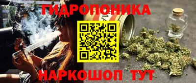 mdpv Ярославль