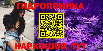 mdpv Ярославль