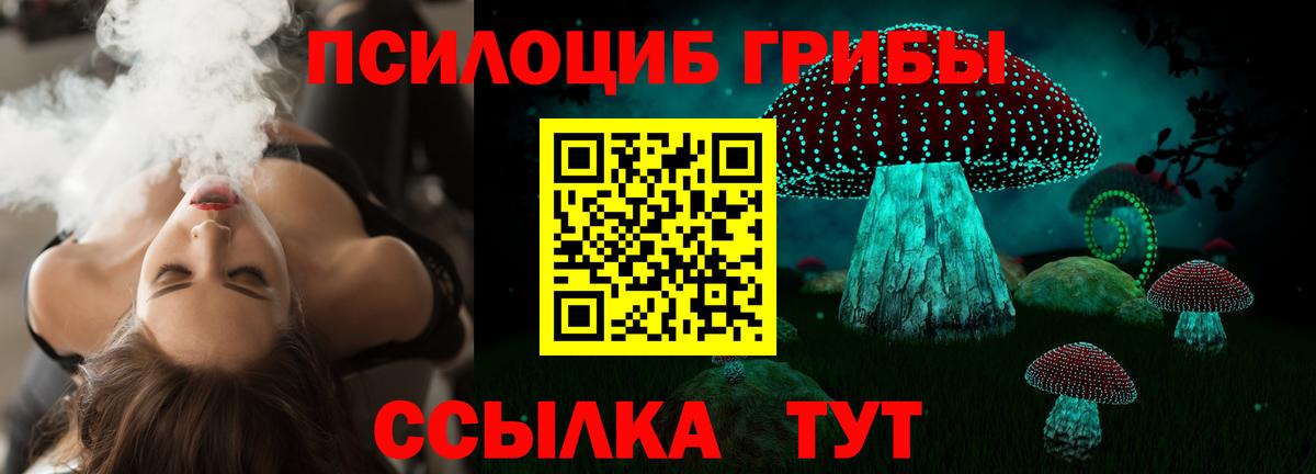 Галлюциногенные грибы Cubensis Вольск